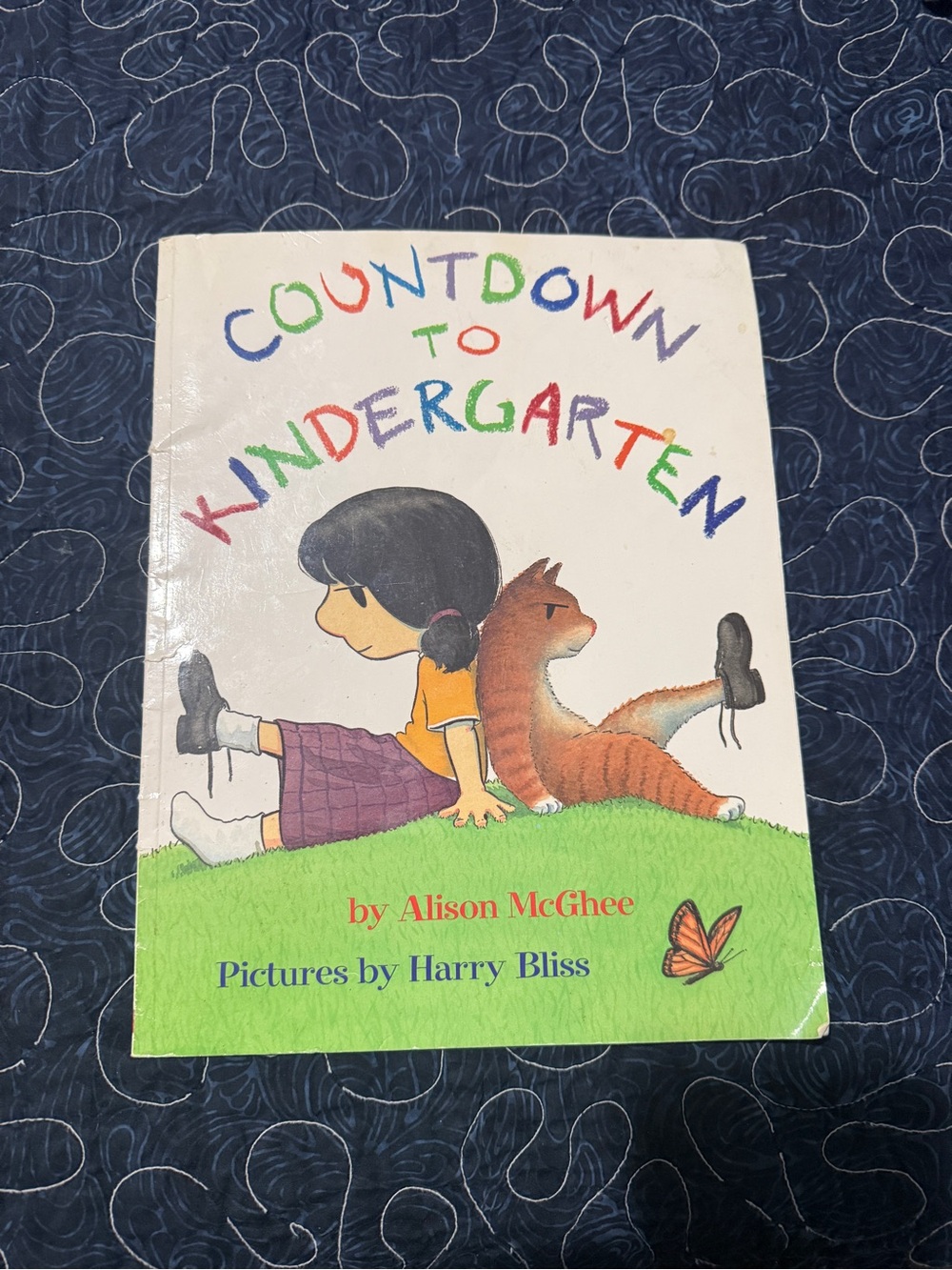 Countdown to Kindergarten by Alison McGhee - White/Cream Cover